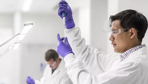 Man scientists working in lab